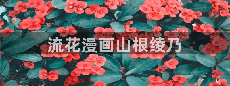韩漫画在线看动画免费：流花漫画山根绫乃