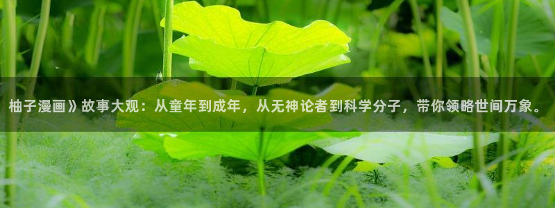韩漫在线观看免：柚子漫画》故事大观：从童年到成年，从无神论者到科学分子，带你领略世间万象。