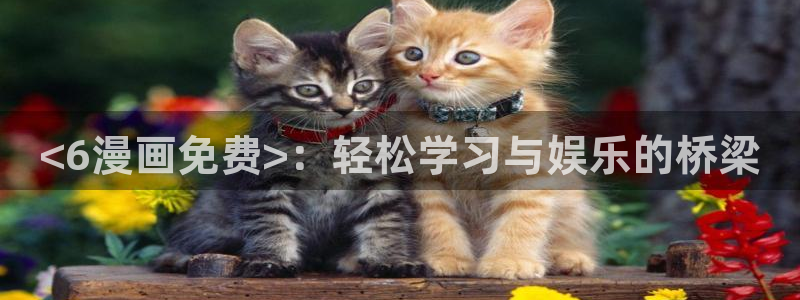 歪歪漫画韩漫免费版读：<6漫画免费>：轻松学习与娱乐的桥梁