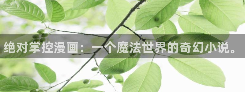 在线观看免费漫画韩漫：绝对掌控漫画：一个魔法世界的奇幻小说。