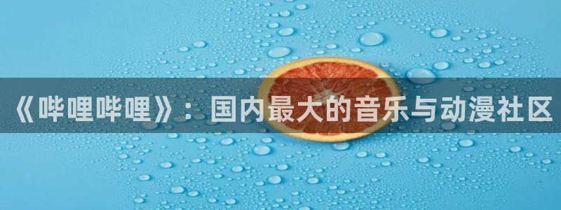 韩漫推荐网址：《哔哩哔哩》：国内最大的音乐与动漫社区