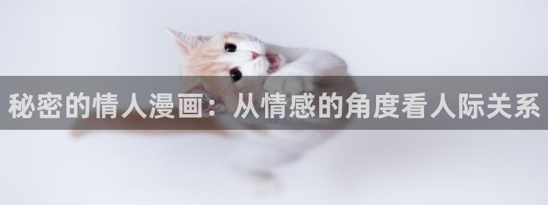 日韩漫画免费在线：秘密的情人漫画：从情感的角度看人际关系