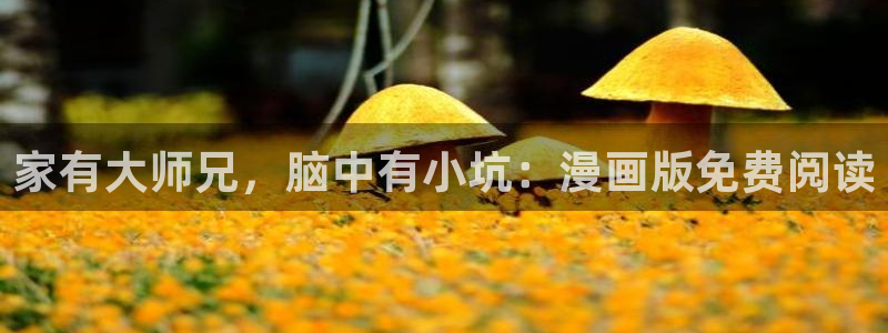 《三人》韩漫双男主漫画：家有大师兄，脑中有小坑：漫画版免费阅读